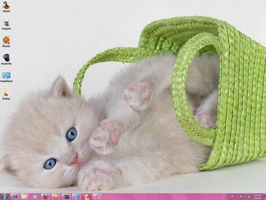 Download Free Cute Cats Windows 7 Theme Icons Funny Sounds Cursors