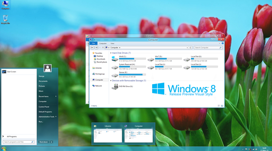 Relaese Windows 8 Visual Style